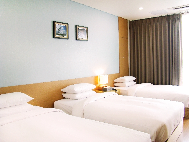 트리플-3인조식포함